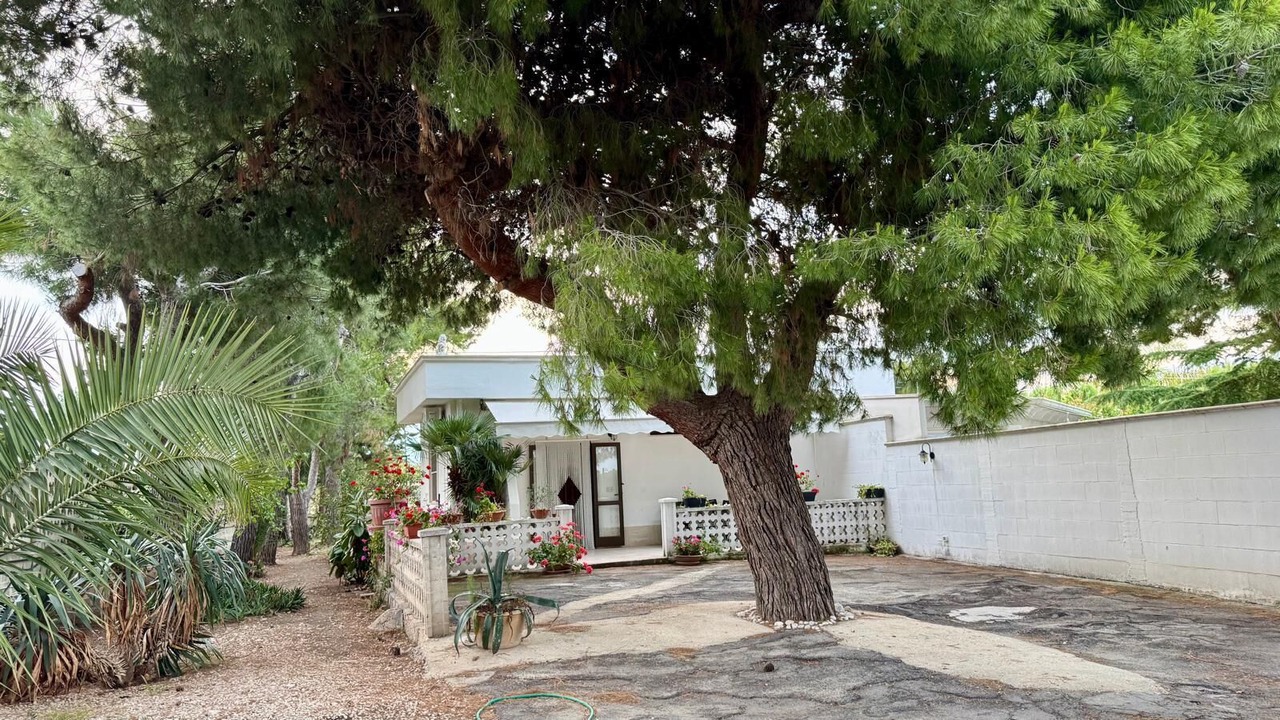 Photo of Outdoor in Trani