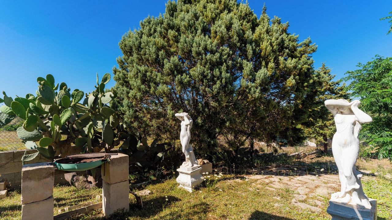 Photo of Others in Province of Lecce