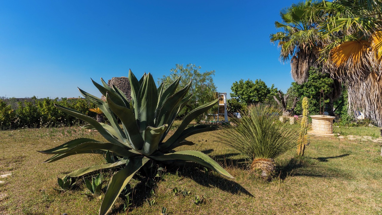 Photo of Outdoor in Province of Lecce