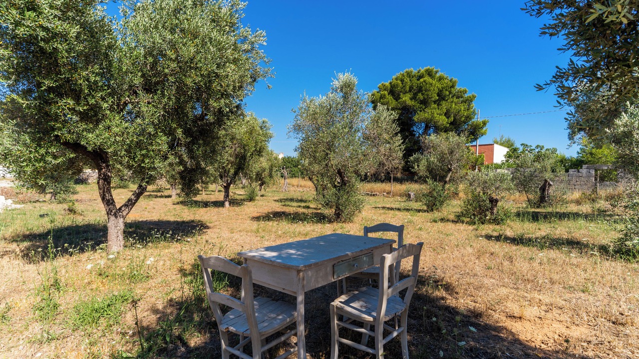 Photo of Outdoor in Province of Lecce