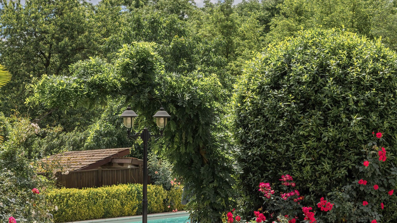 Photo of Outdoor in Strevi