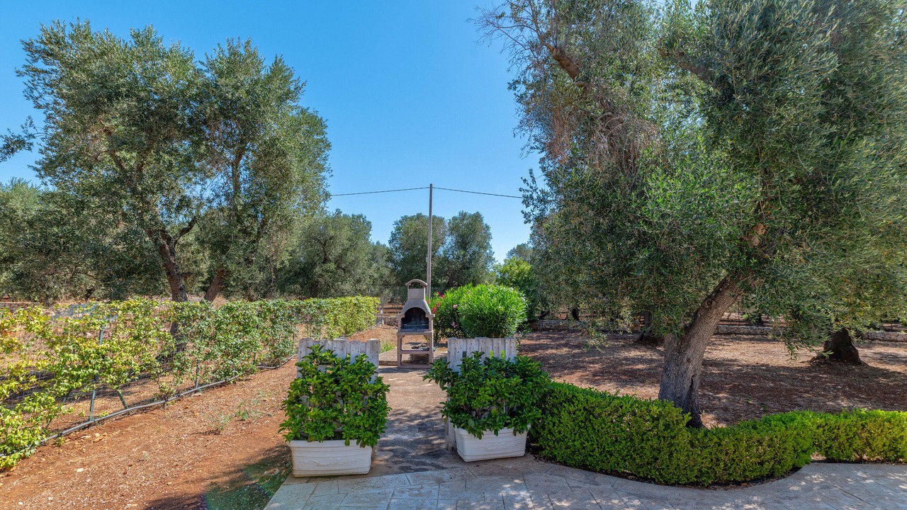 Photo of Outdoor in San Michele Salentino