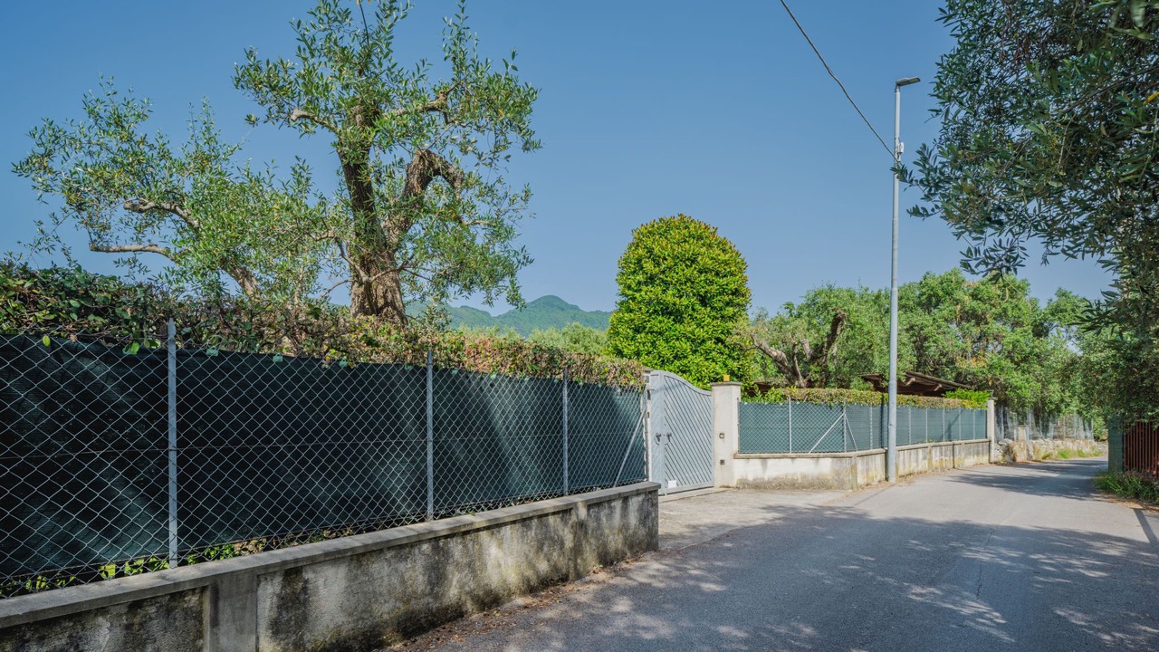 Photo of Outdoor in Querceta