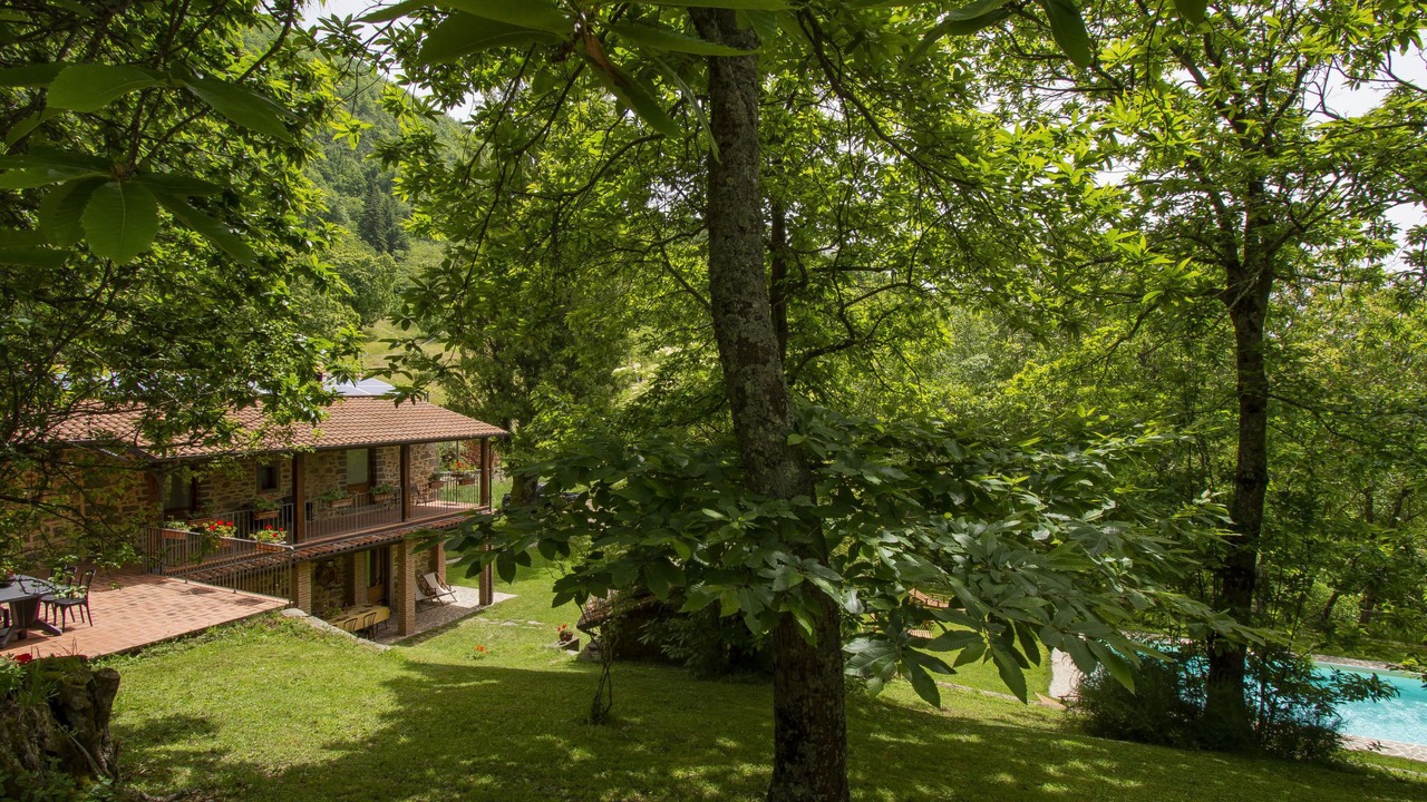 Photo of Others in San Romano in Garfagnana