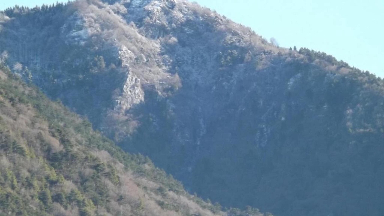 Photo of Others in Romano d'Ezzelino