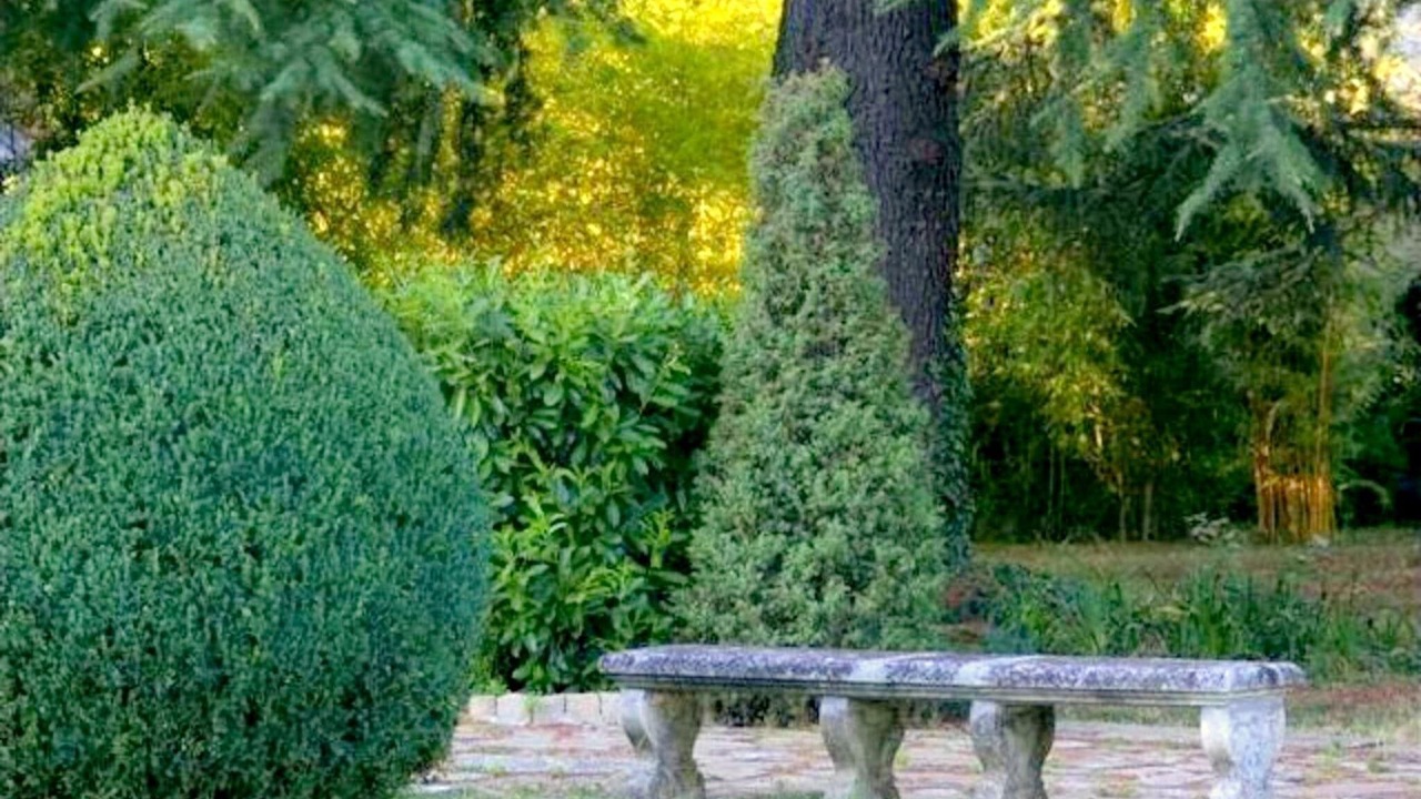 Photo of Outdoor in Rocca Grimalda