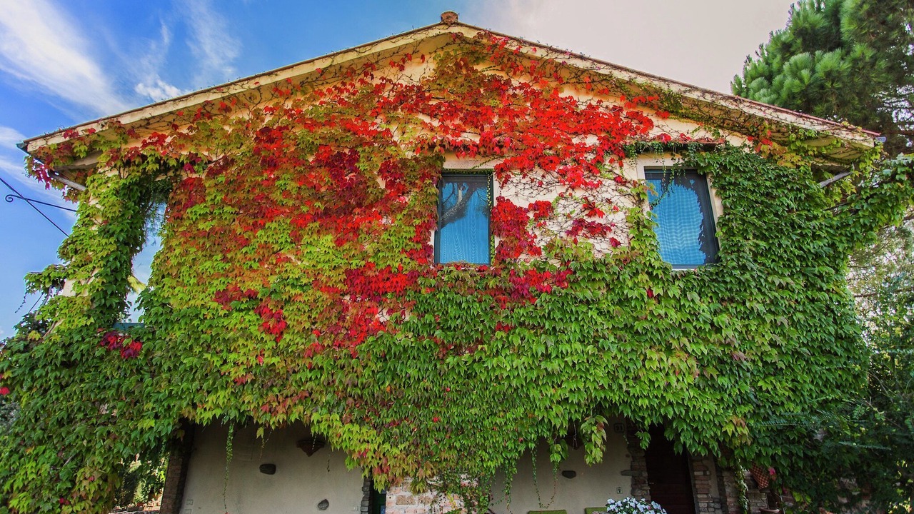 Photo of Outdoor in Marsciano