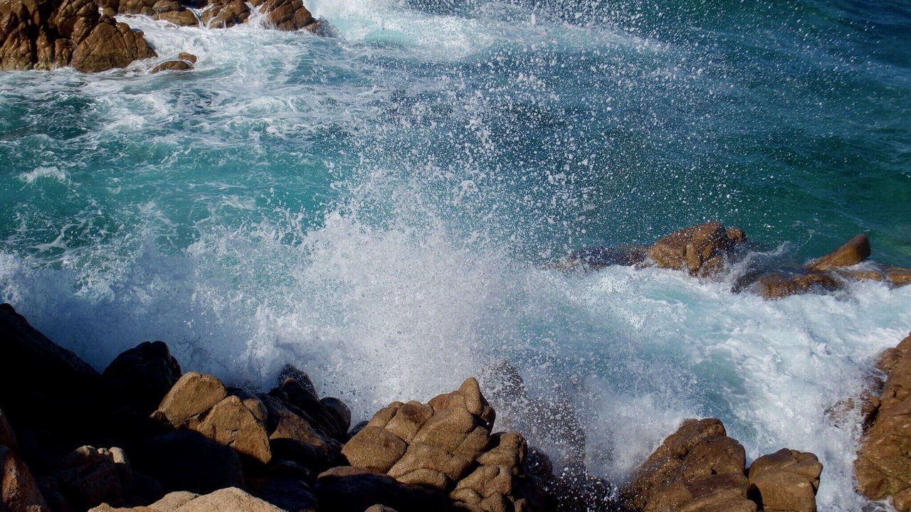 Photo of Others in Canneddi