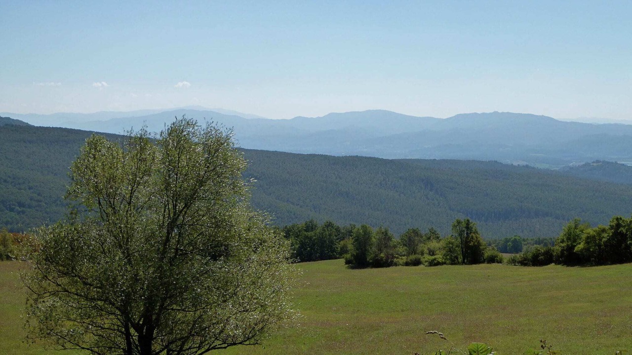 Photo of Others in Montecarelli