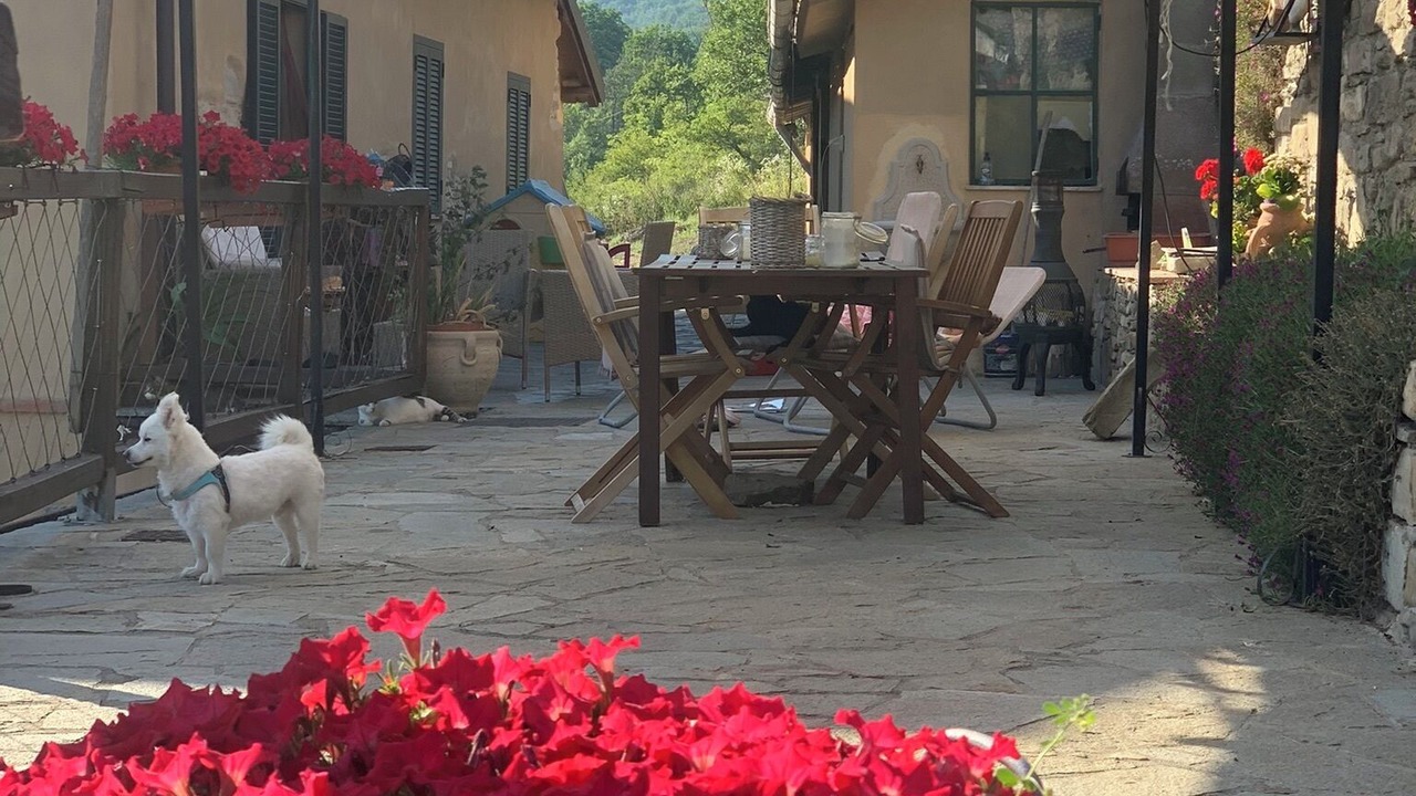Photo of Outdoor in Merana