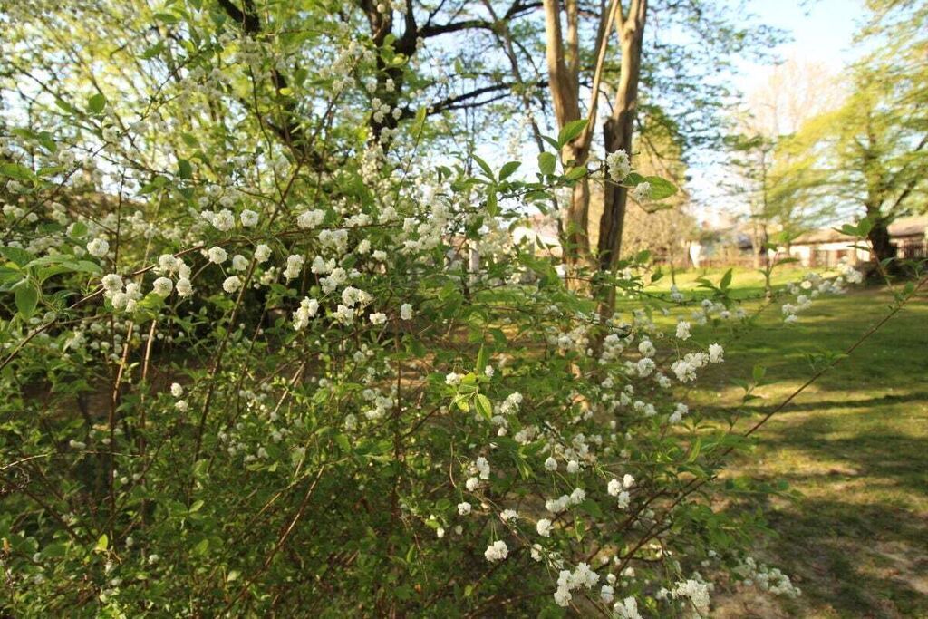 Photo of Outdoor in Strassoldo