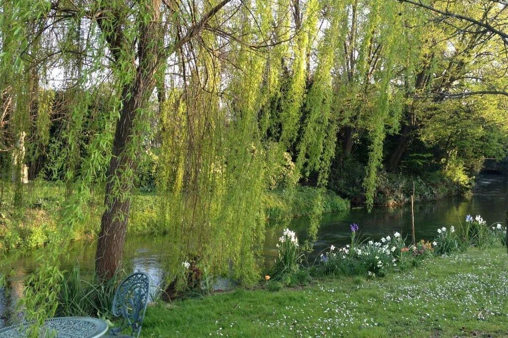 Photo of Outdoor in Strassoldo