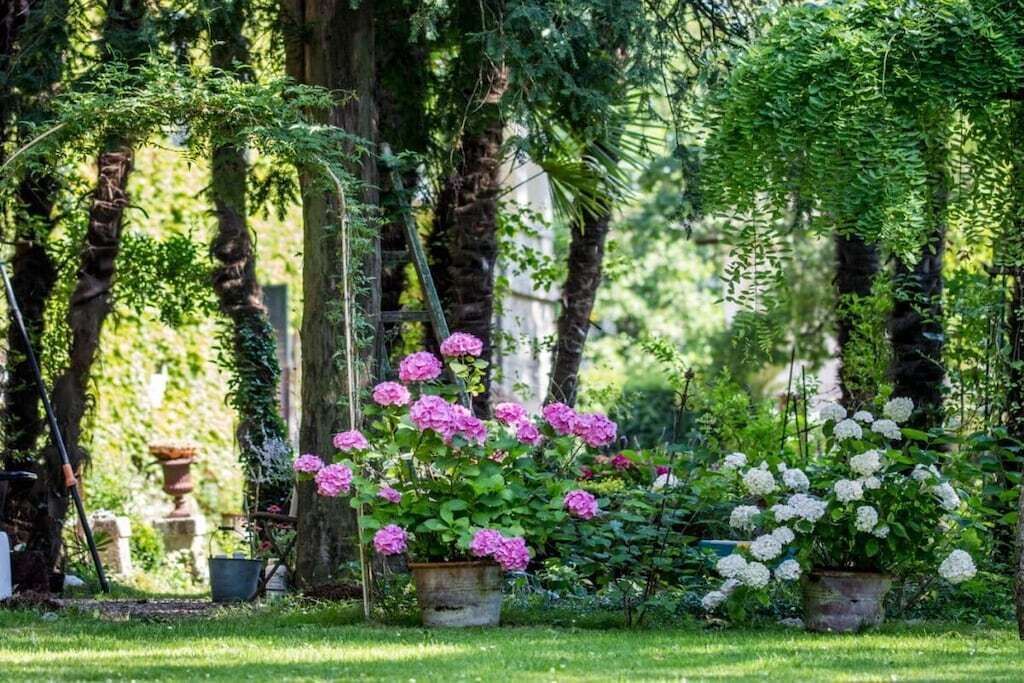 Photo of Outdoor in Strassoldo