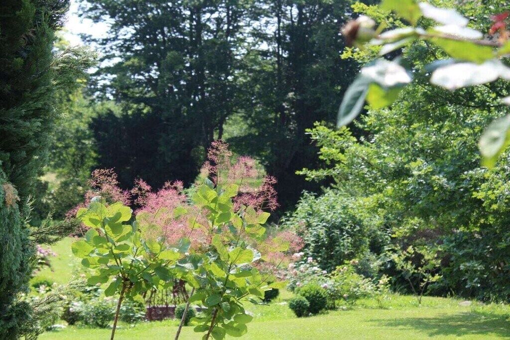 Photo of Outdoor in Strassoldo
