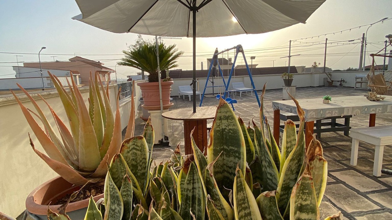 Photo of Outdoor in San Giorgio Ionico