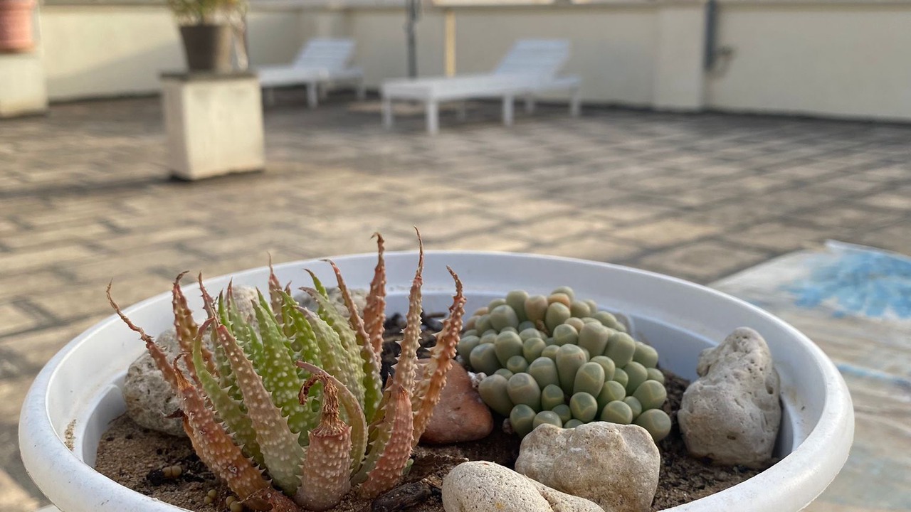 Photo of Outdoor in San Giorgio Ionico