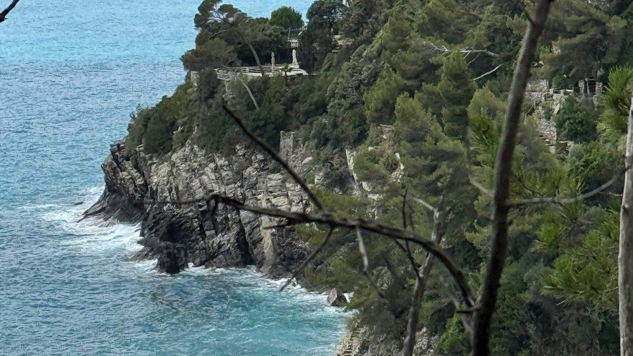 Photo of Others in Pieve Ligure