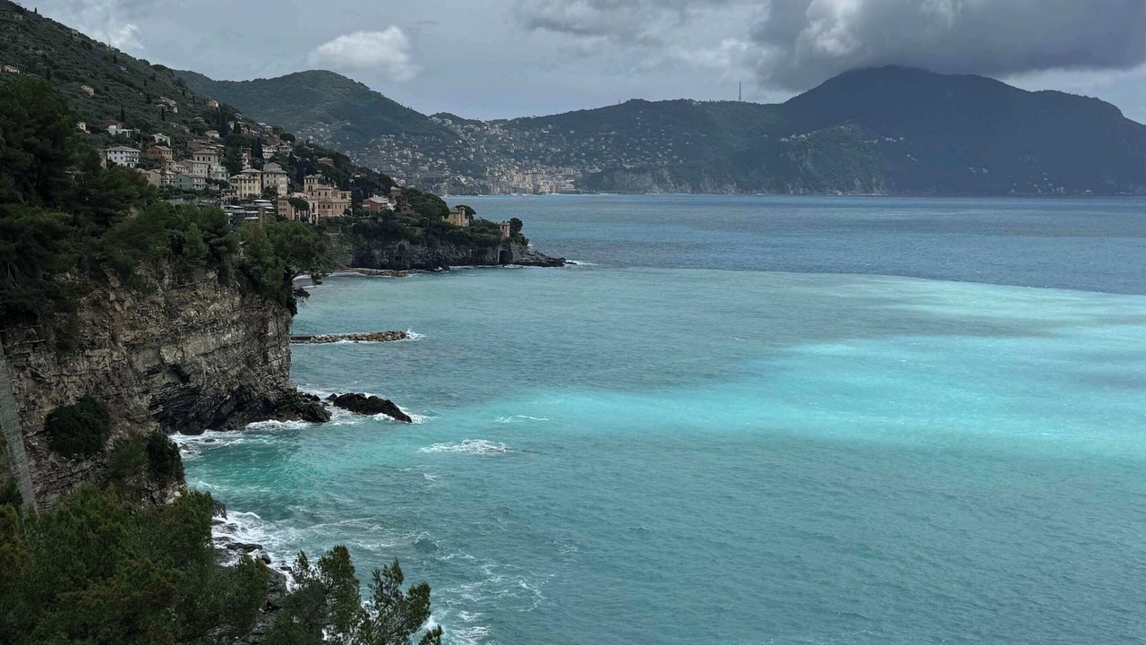 Photo of Others in Pieve Ligure