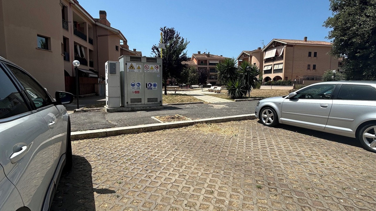 Photo of Outdoor in Palidoro