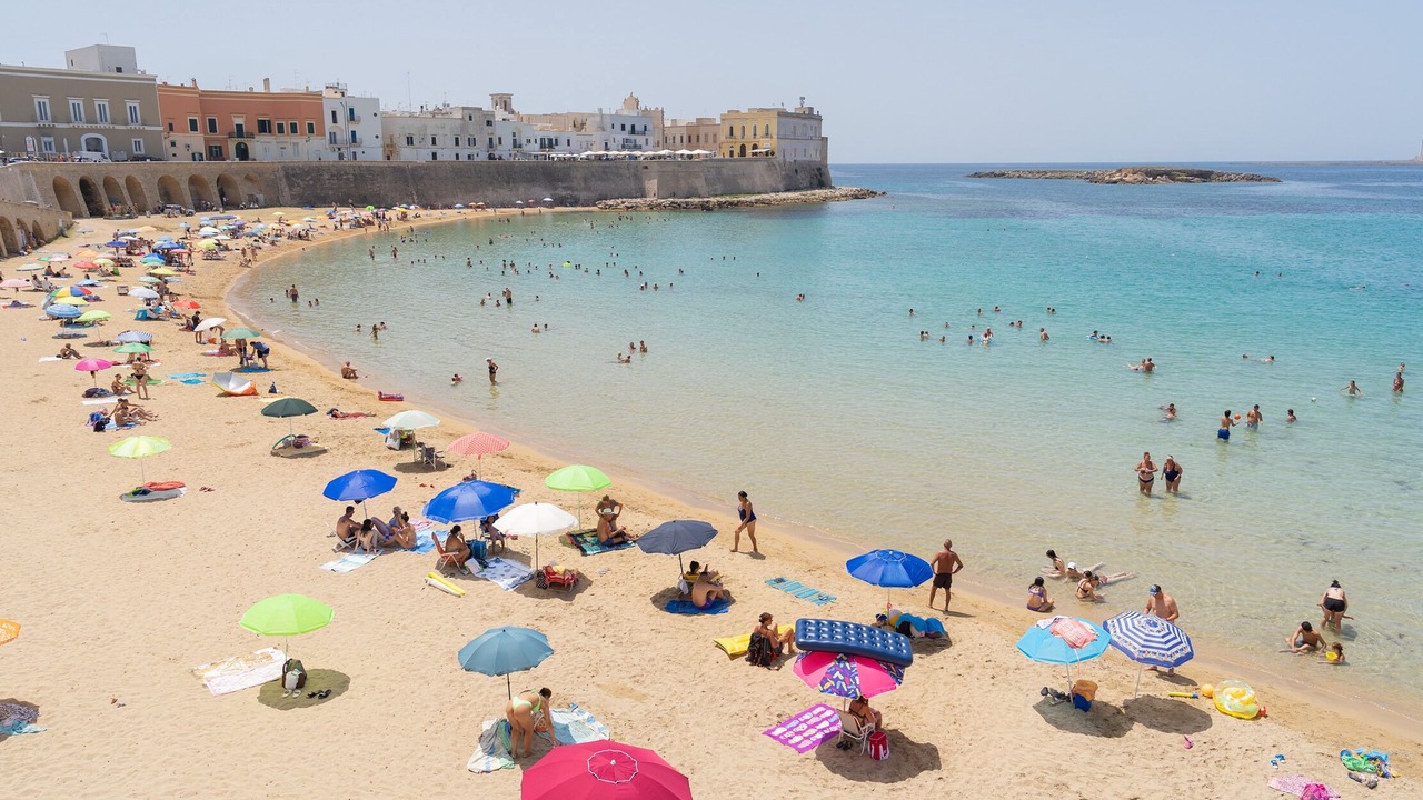 Photo of Others in Province of Lecce