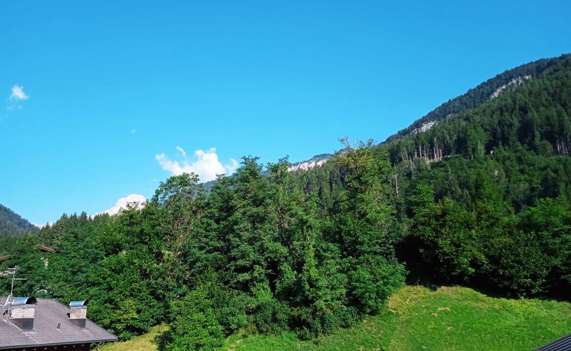 Photo of Others in Lozzo di Cadore