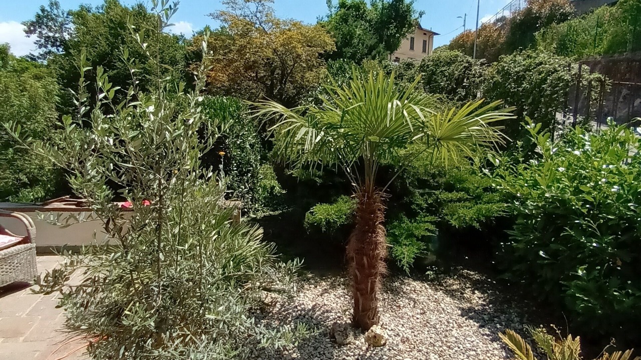 Photo of Outdoor in Viconago