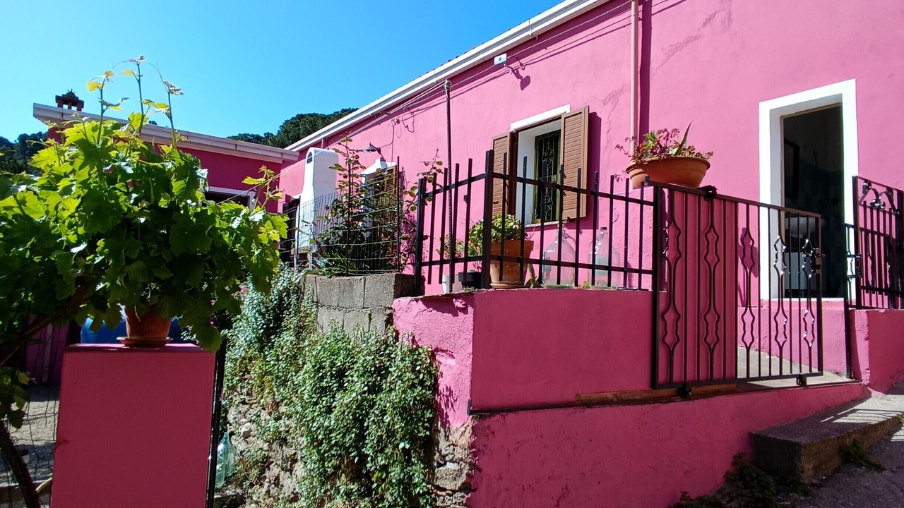 Photo of Outdoor in Torpe