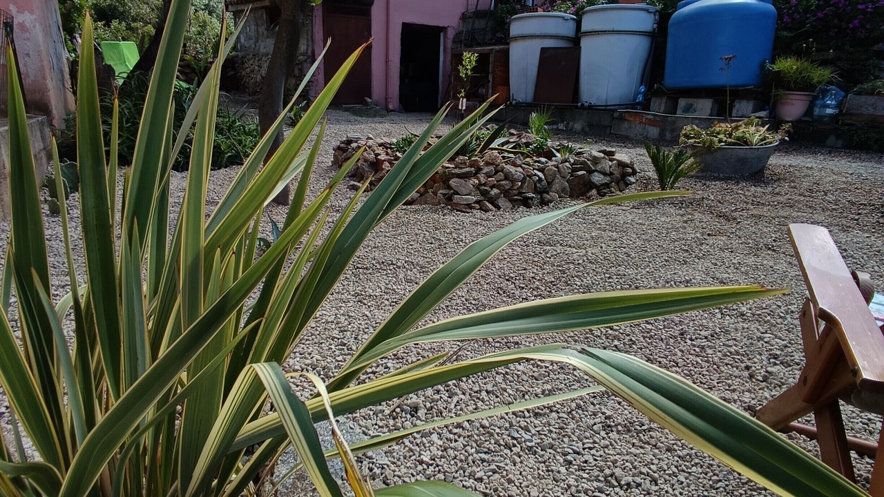 Photo of Outdoor in Torpe