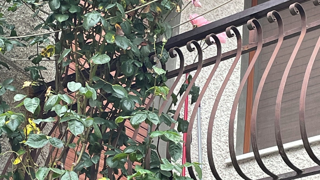 Photo of Outdoor in Montebruno