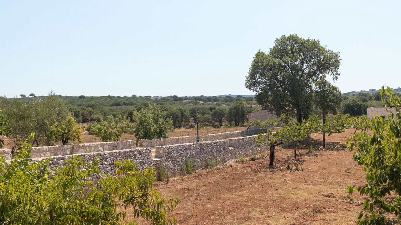 Photo of Others in Alcanterini