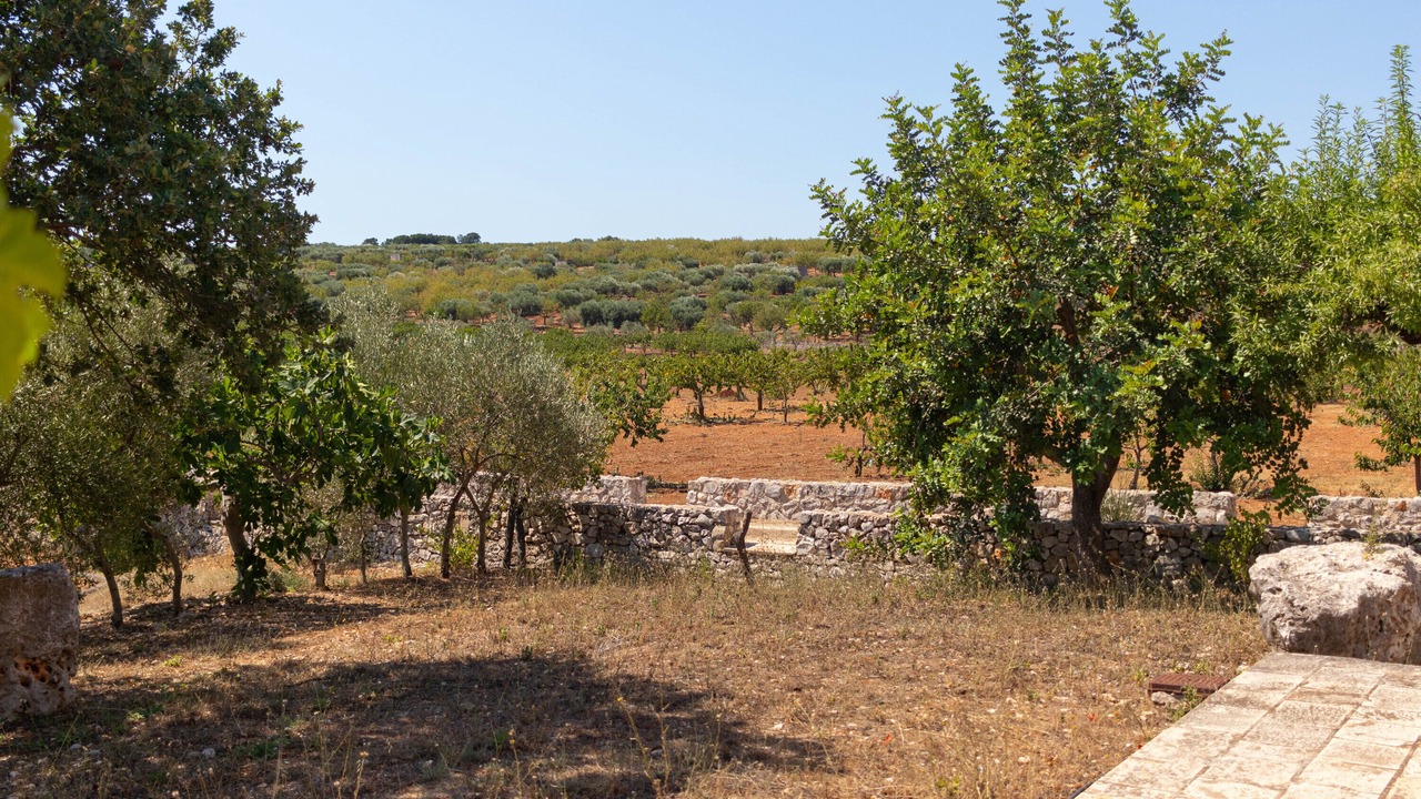 Photo of Outdoor in Alcanterini
