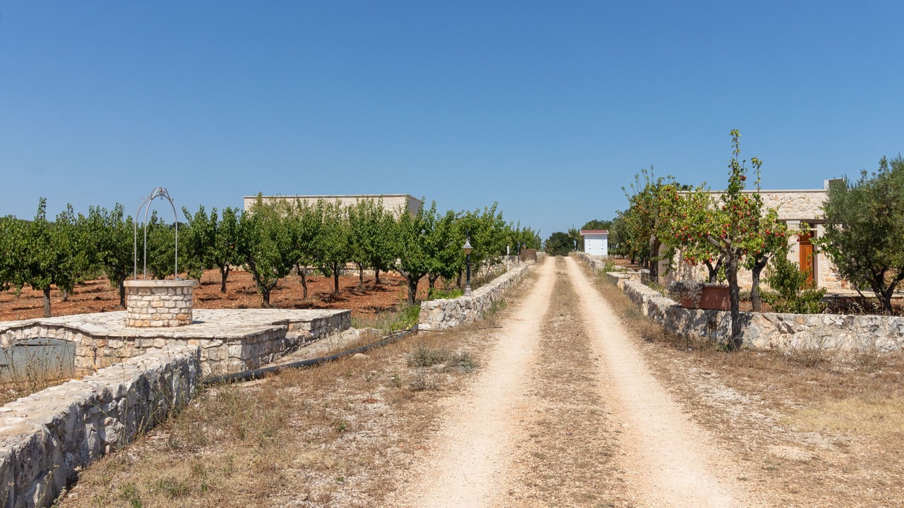 Photo of Others in Alcanterini