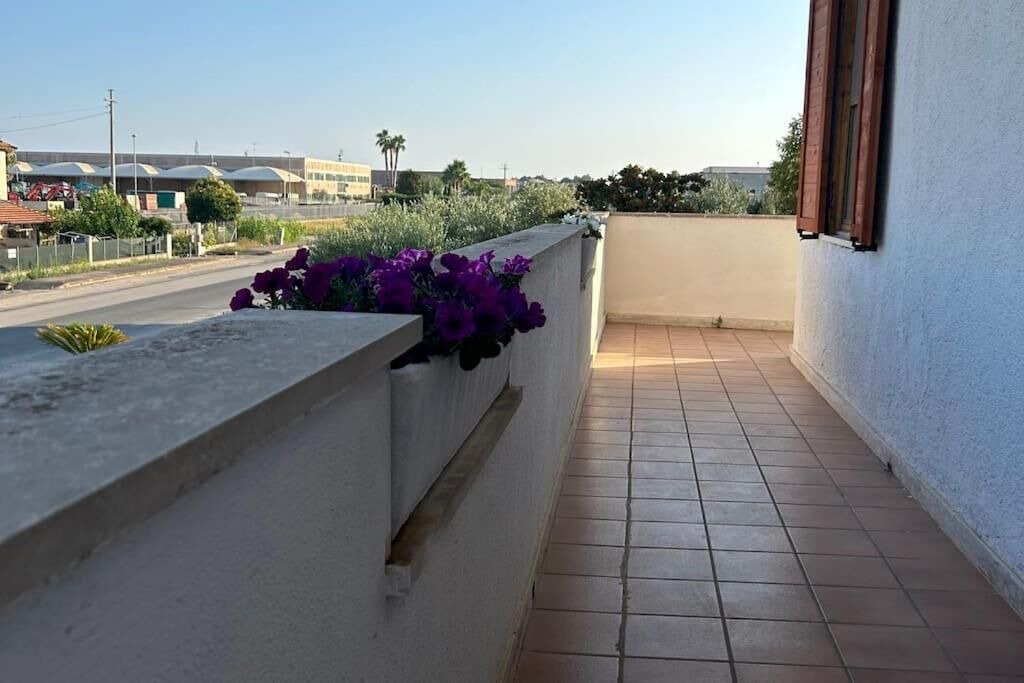 Photo of Outdoor in Sabaudia