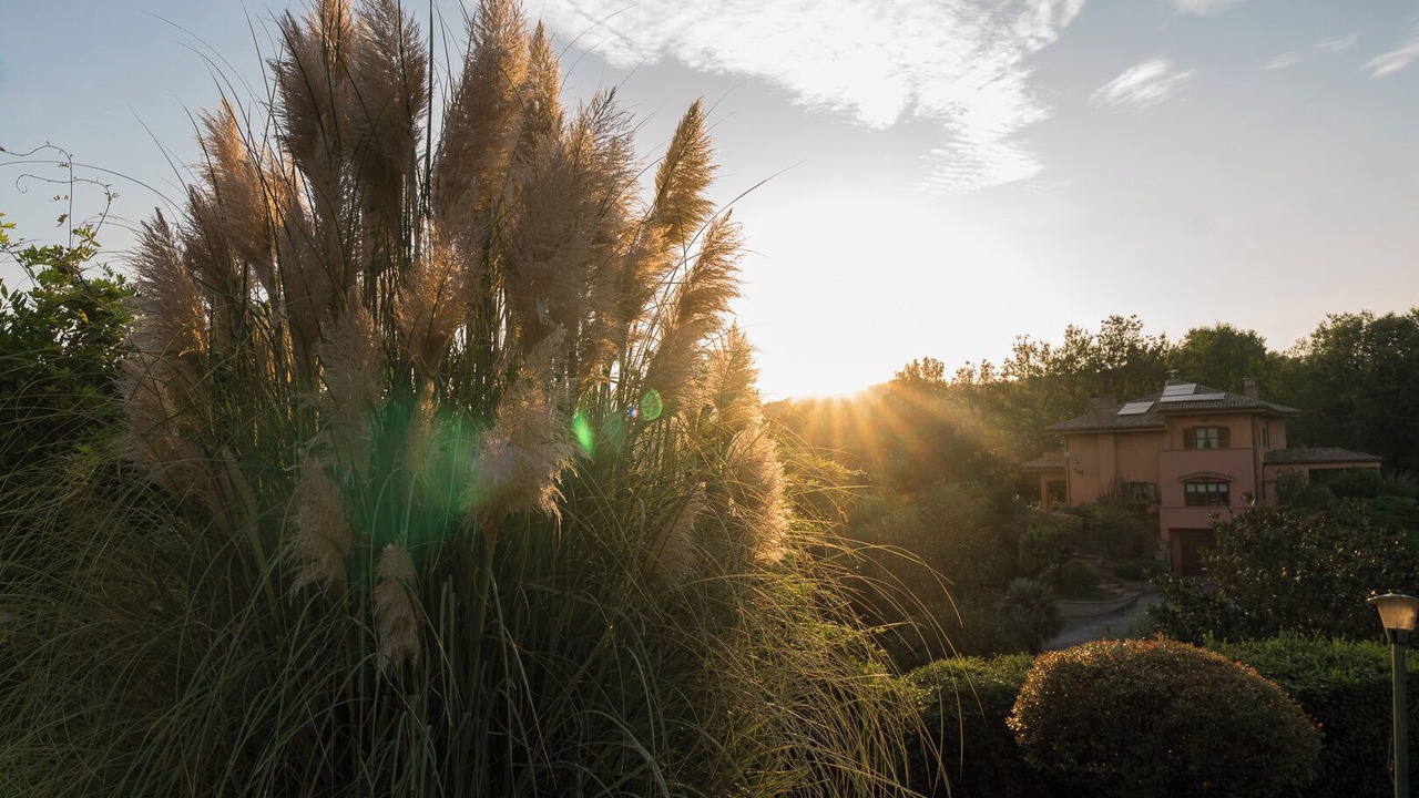 Photo of Outdoor in Canterano