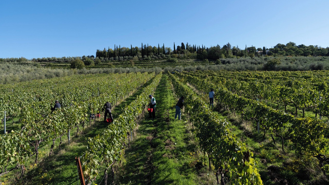 Photo of Outdoor in Arezzo