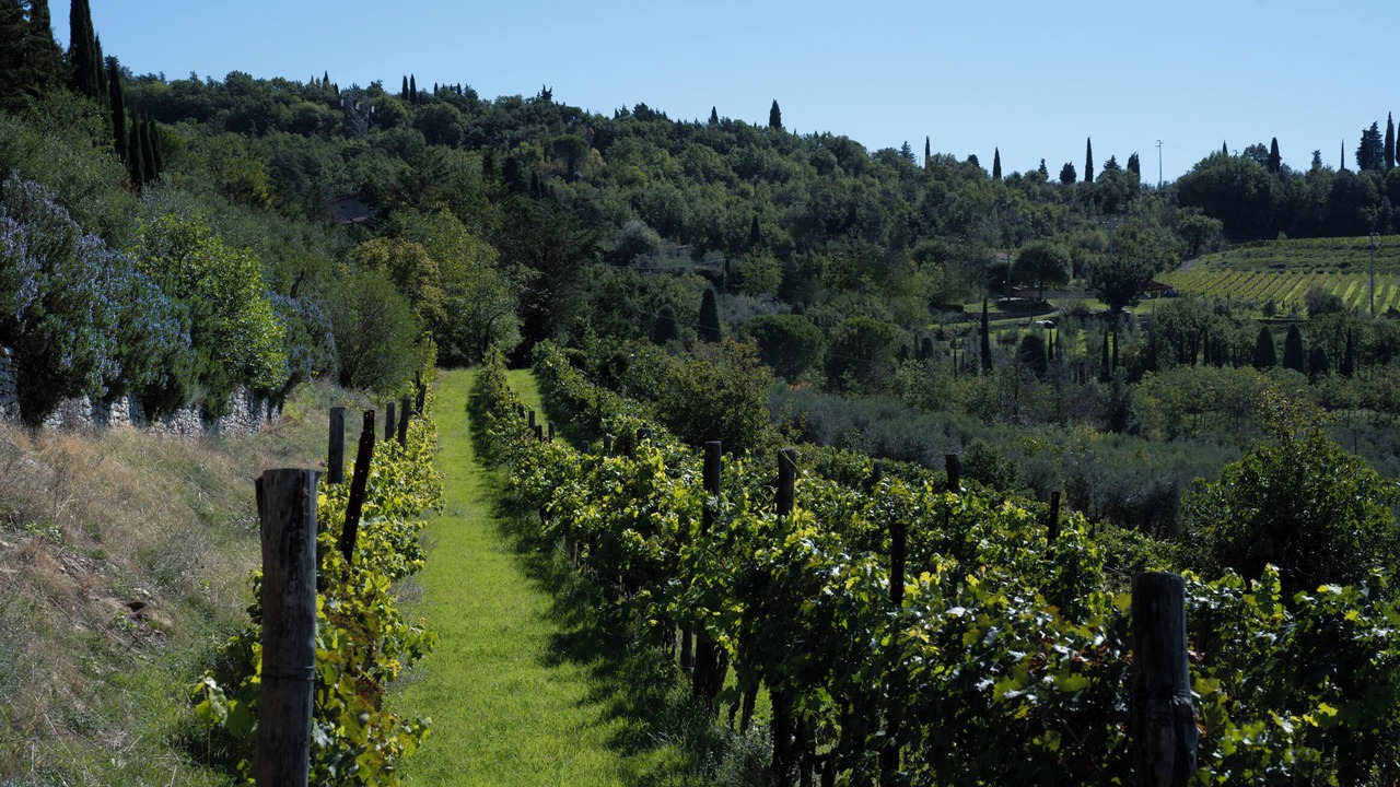 Photo of Others in Arezzo