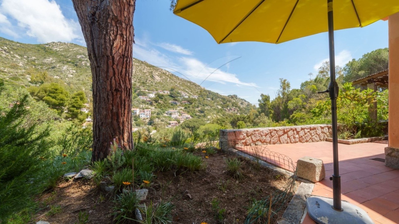 Photo of Outdoor in Fetovaia