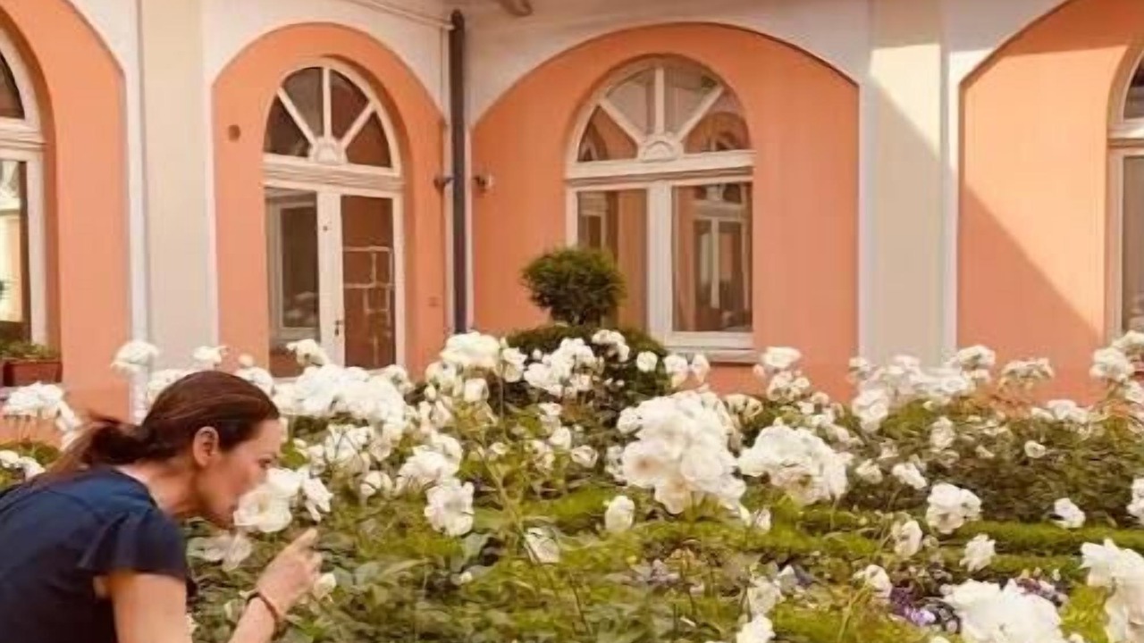 Photo of Outdoor in Vanchiglia