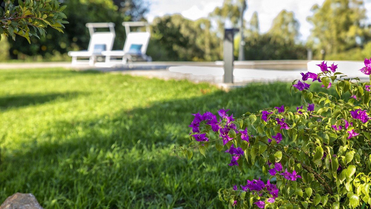 Photo of Outdoor in Olmedo
