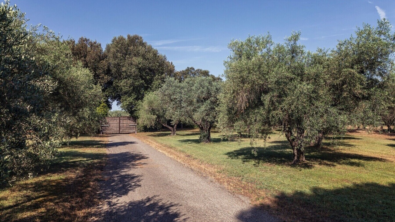 Photo of Outdoor in Donoratico