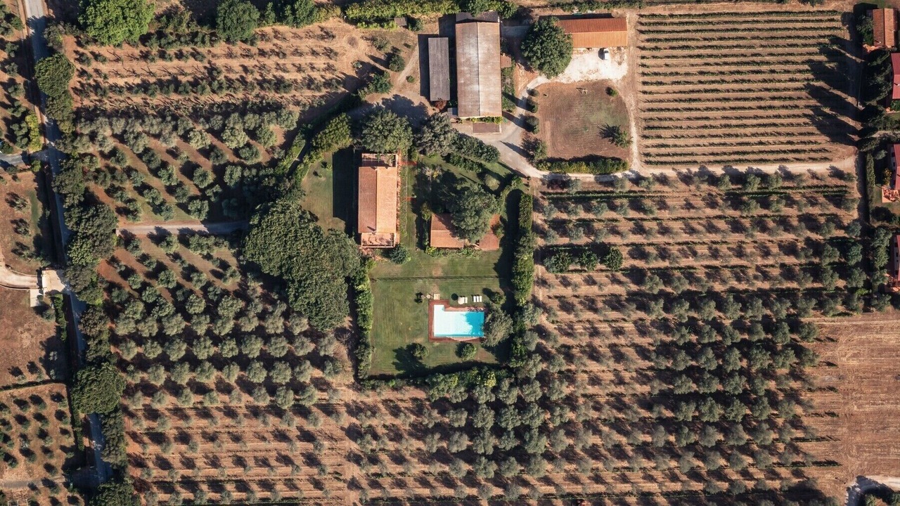 Photo of Outdoor in Donoratico