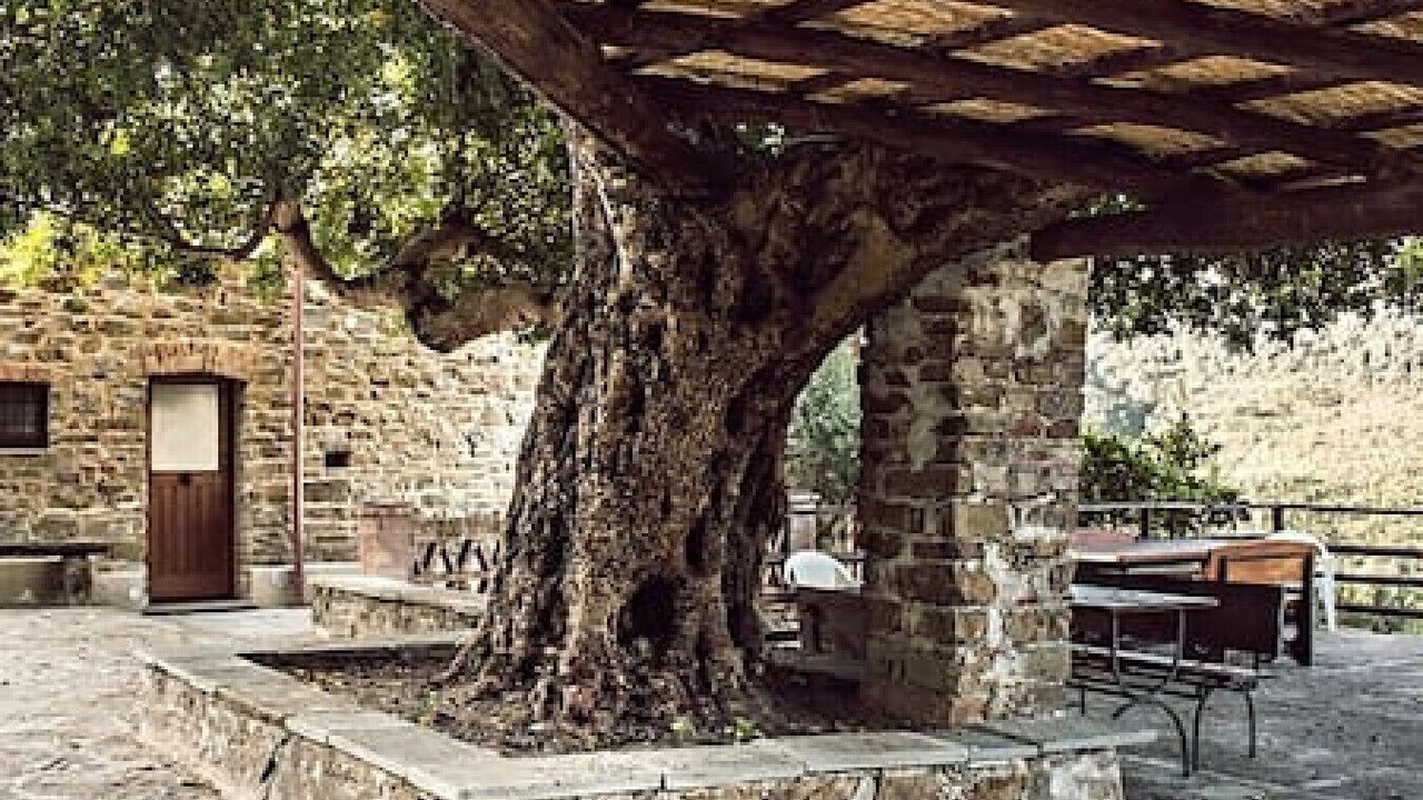 Photo of Outdoor in Rutino