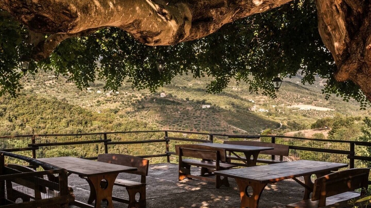 Photo of Outdoor in Rutino