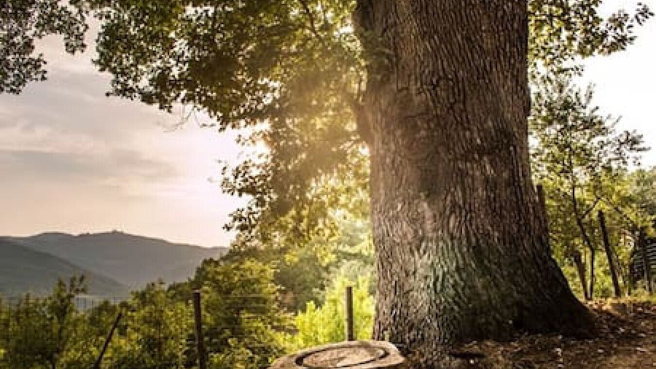 Photo of Outdoor in Rutino