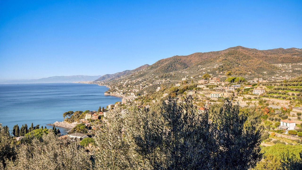 Photo of Bedroom in Camogli