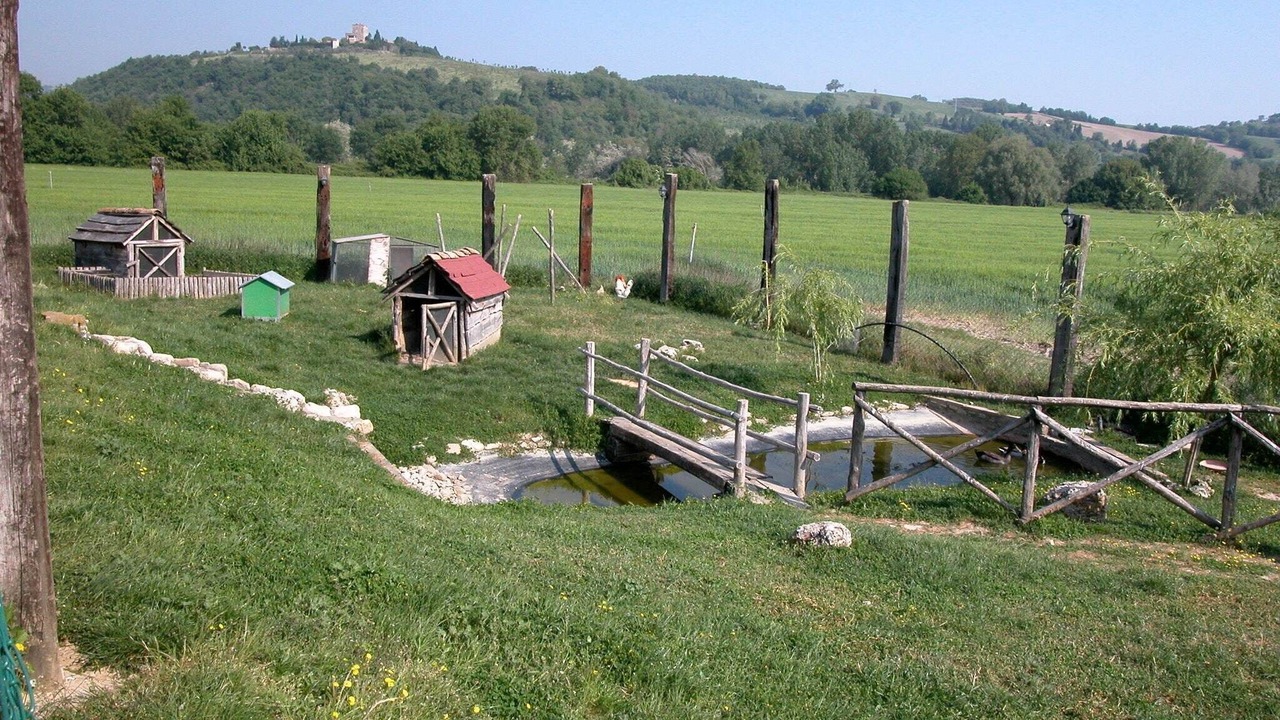 Photo of Others in Todi