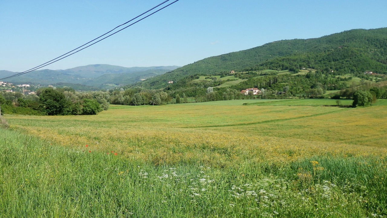 Photo of Others in Ortignano Raggiolo