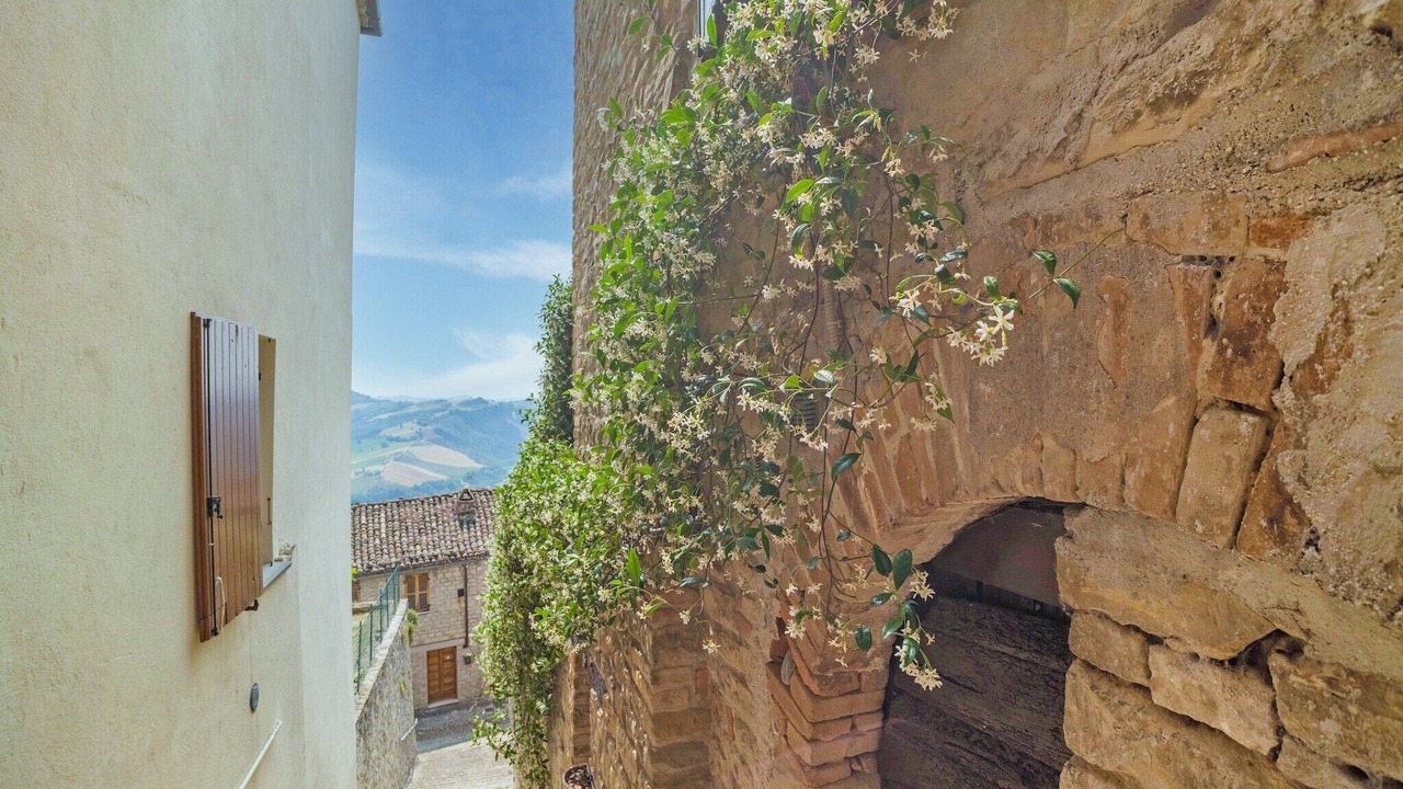 Photo of Others in Monte San Martino