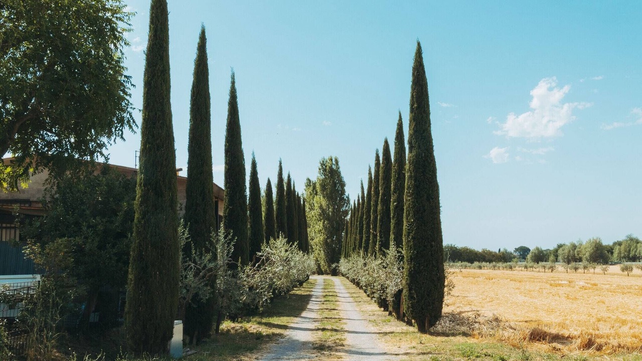 Photo of Outdoor in Camucia