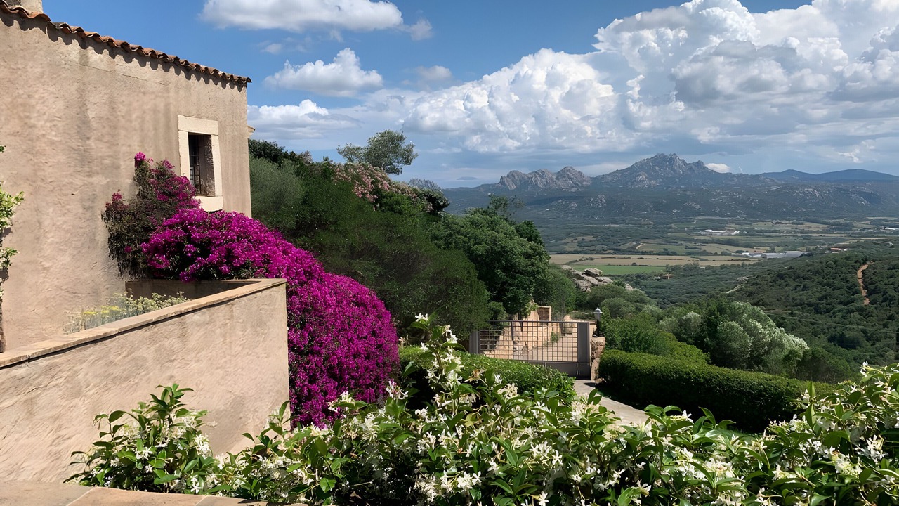 Photo of Outdoor in Arzachena